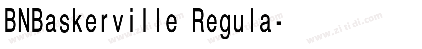 BNBaskerville Regula字体转换 BNBaskerville Regula字体转换